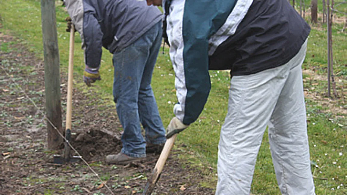 Graben für die Frostgare
Quelle: Matthias Wiedenau