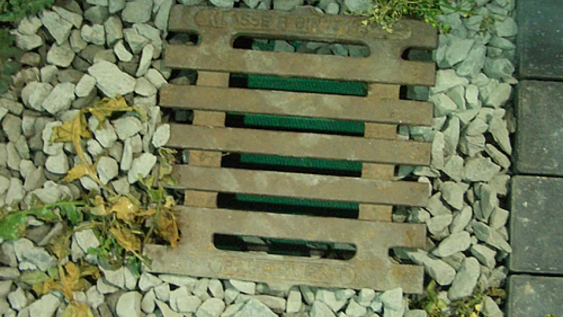 Über Gullys oder Drainagen können Wirkstoffe in die Kanalisation und damit in den Wasserkreislauf gelangen.
Quelle: IVA