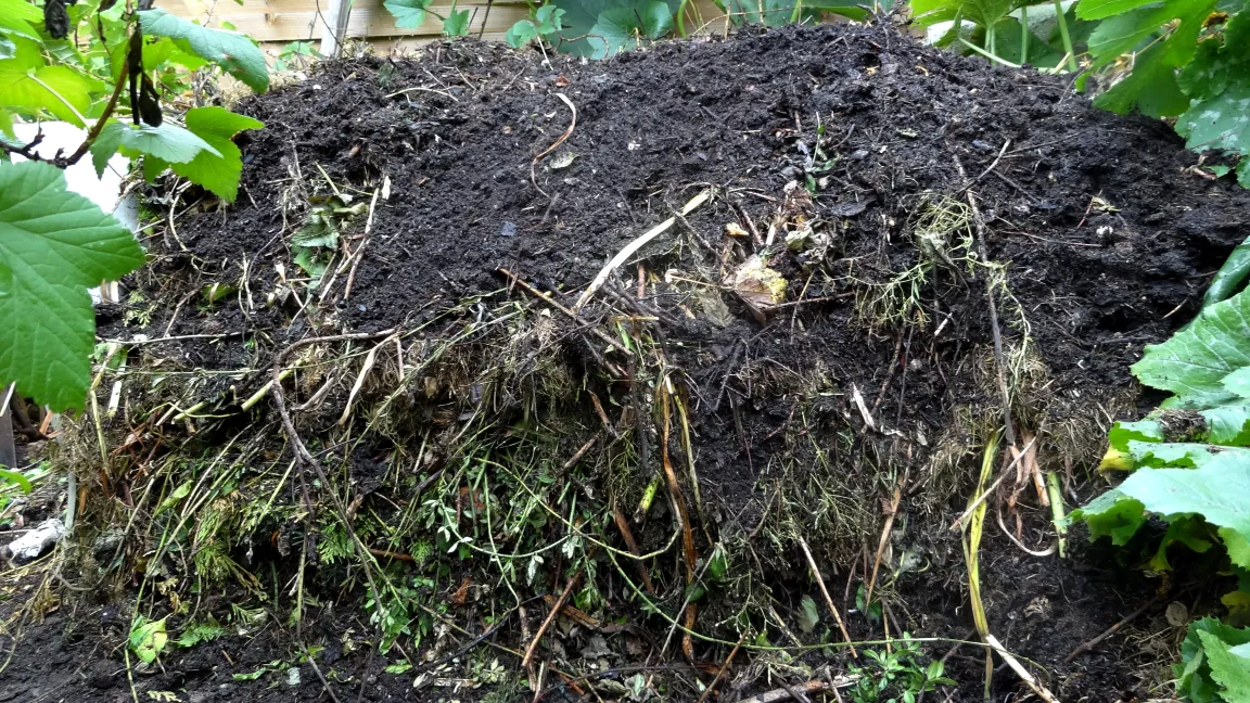 Gut aufgesetzter Komposthaufen. Foto: Klaus Margraf