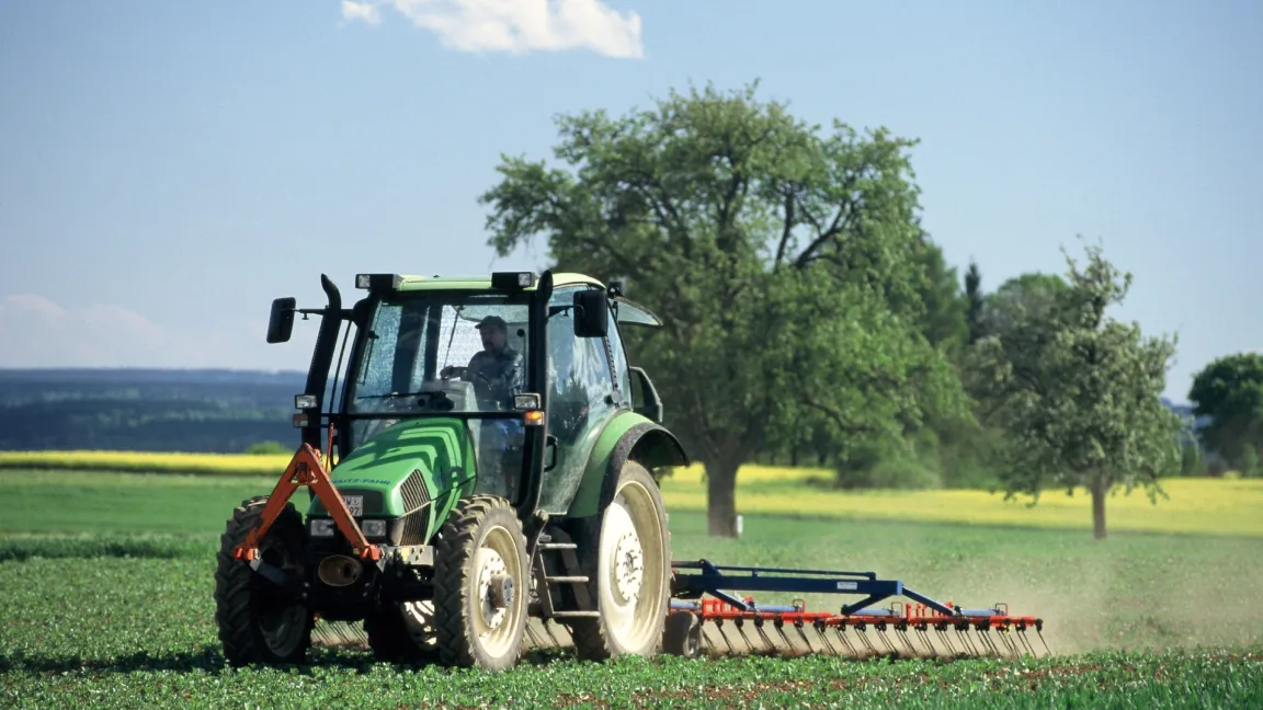 Beim Striegeln des Getreides muss es trocken sein, sonst wächst das Unkraut wieder an. Foto: agrar-press