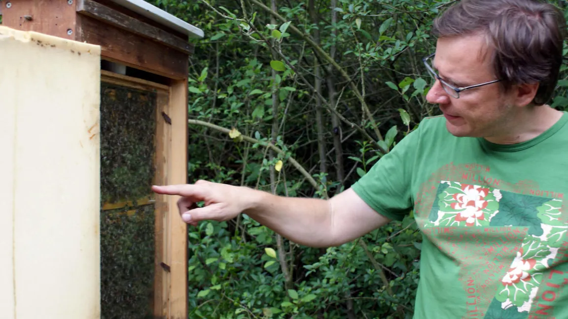 Dr. Stephan Härtel, der die Forschung zu gentechnisch verändertem Bt-Mais leitet, an einem Beobachtungsstock auf dem Gelände der Universität Würzburg Foto: www.biosicherheit.de