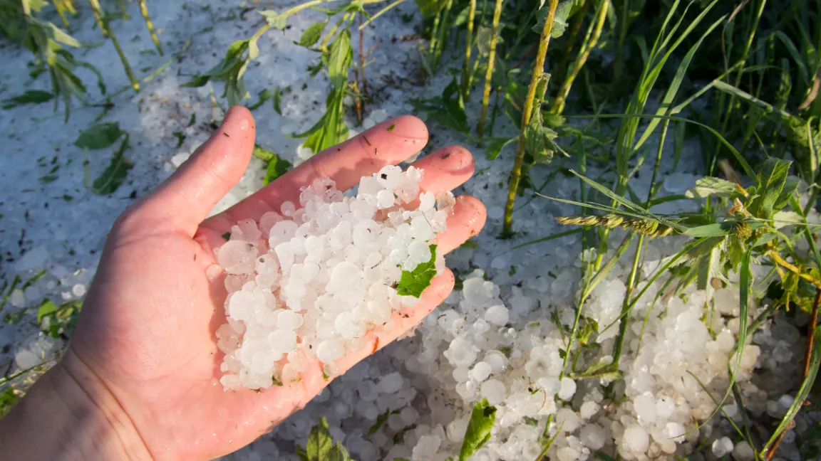 Auch Hagelschauer sind keine Seltenheit. Foto: Fotolia