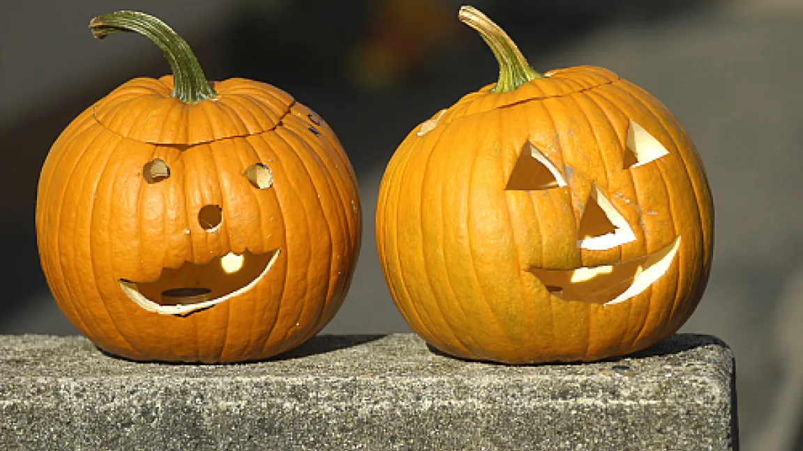 Bald ist Halloween
Quelle: adpic