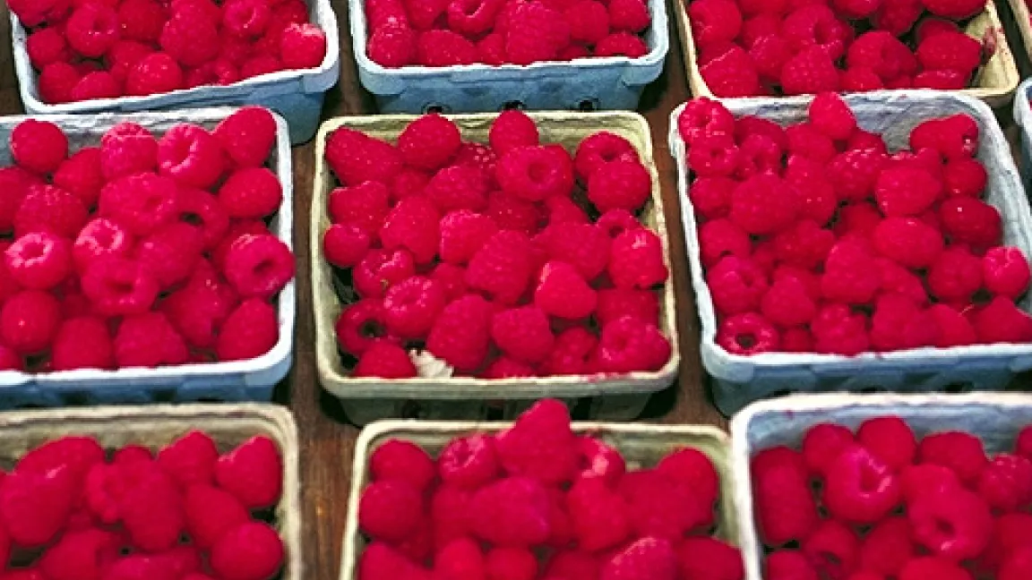 Himbeeren zum frischen Verzehr.
	Quelle: Bill Tarpenning, USDA