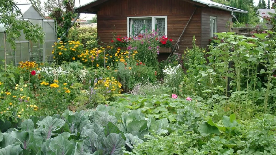 Bei Fachfragen rund um den Hobbygarten helfen zahlreiche Organisationen. Foto: BDG