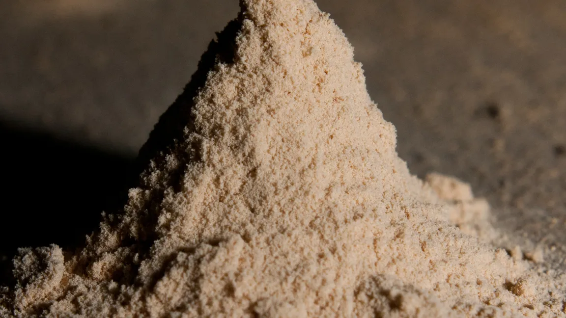 Holzmehl aus Holzwurmbefall, ca. 5 cm hoch. Foto: wikipedia