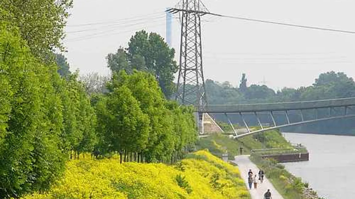 Im westlichen Ruhrgebiet finden sich heute große Bestände der Orientalischen Zackenschote, insbesondere entlang der Böschungen des Rhein-Herne-Kanals, wie hier in Oberhausen.
Quelle: Biologische Station westliches Ruhrgebiet e.V.