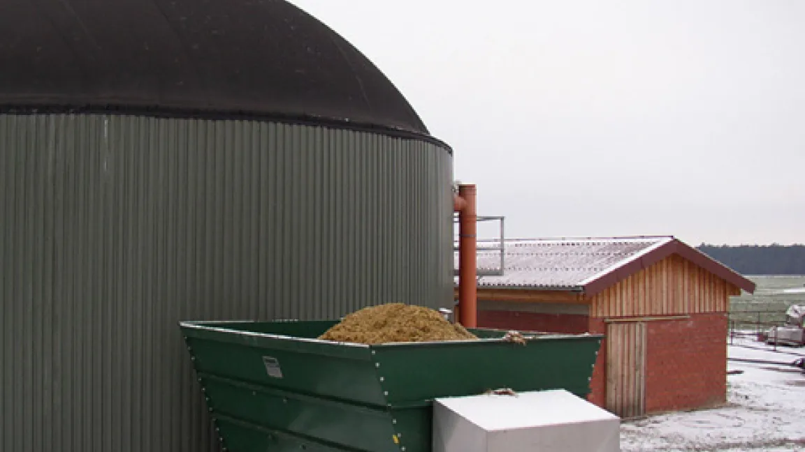 In Biogasanlagen wird aus der gehäckselten Maispflanze der Energielieferant Methan.
Quelle: Fachverband Biogas