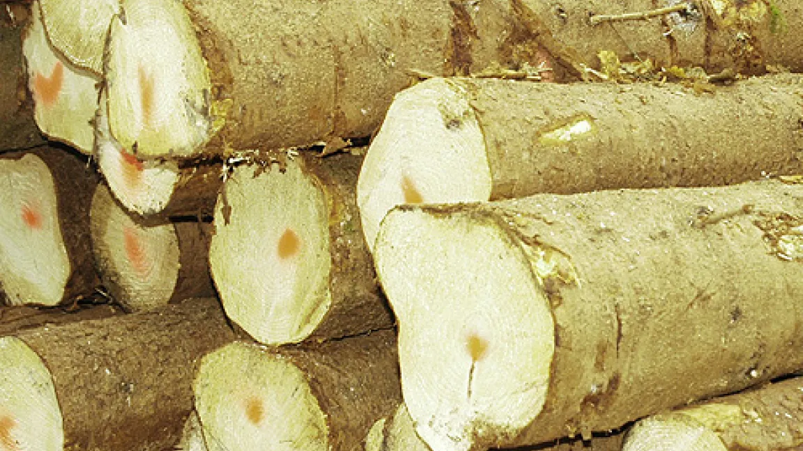 Industrierundholz
Quelle: agrar-press.