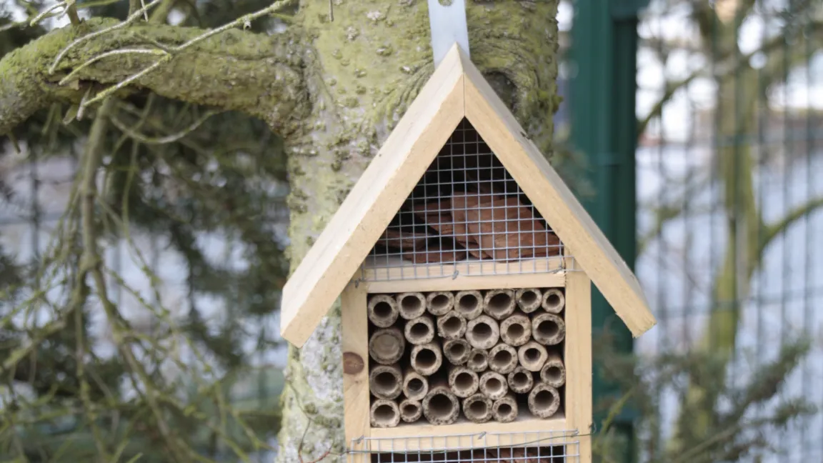 Ein Insektenhotel bietet Schlaf- und Winterquartier für viele geflügelte Gartenbewohner. Foto: Angelika Sontheimer