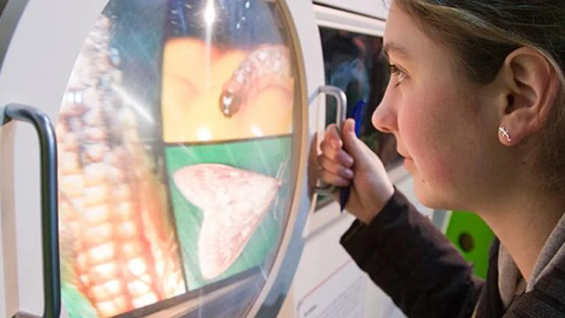 Interaktive Exponate verdeutlichen die Bedeutung von Pflanzenschutz und Düngung.
Quelle: IVA, Foto FNL