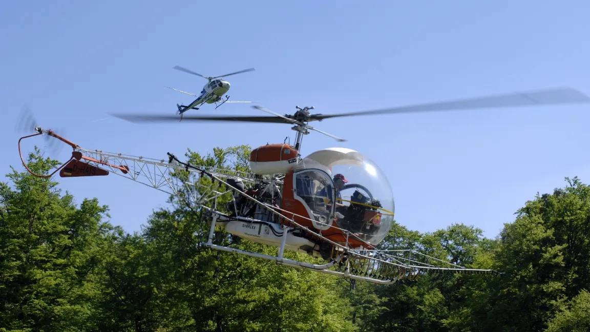 Mit den Maikäfern starten die Hubschrauber. Maikäferbekämpfung aus der Luft ist nur an wenigen Tagen möglich. Foto: agrar press
