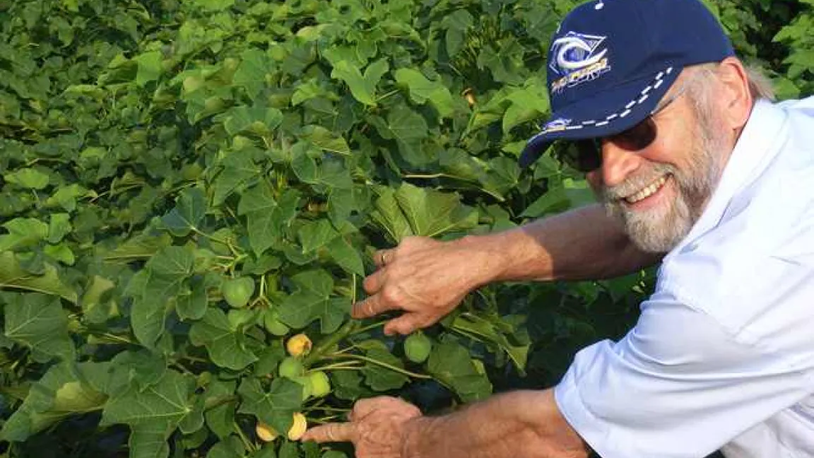 Prof. Becker zeigt einen Jatropha-Buschmit Früchten
Quelle: Prof. Becker, Universität Hohenheim