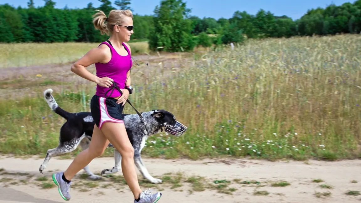 Die sogenannten Gewittertierchen sind insbesondere auch für Jogger lästig. Foto: Fotolia