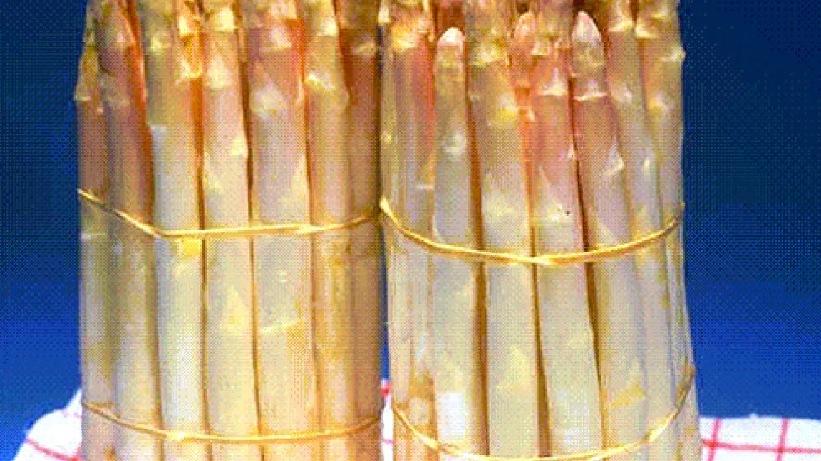 Kalorienarm und lecker - frischer Spargel ist ein Genuss.
	Quelle: BASF AgroSlide