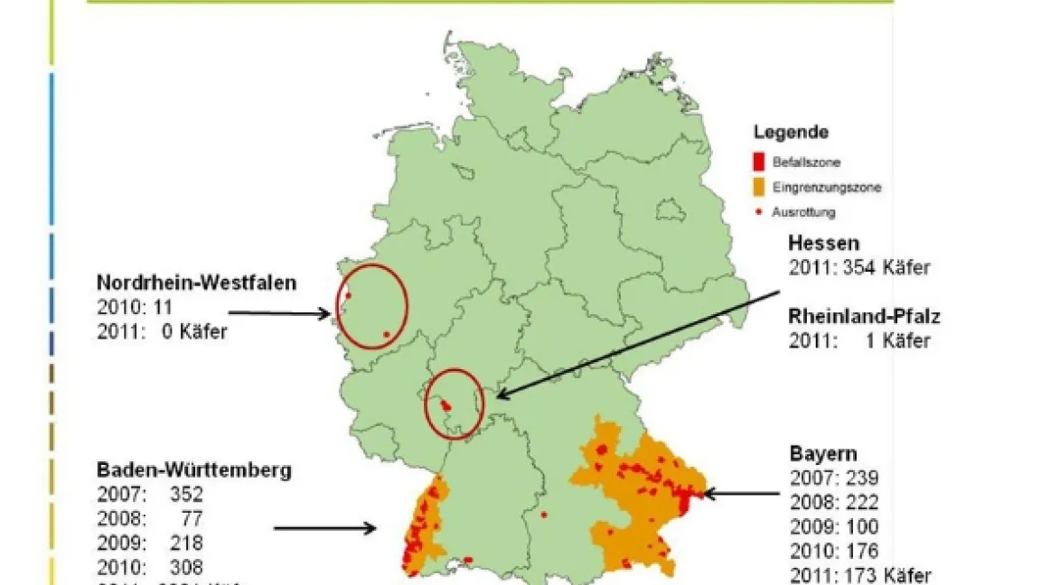 Die Ausbreitung des Maiswurzelbohrers in Deutschland. Quelle: Julius Kühn-Institut