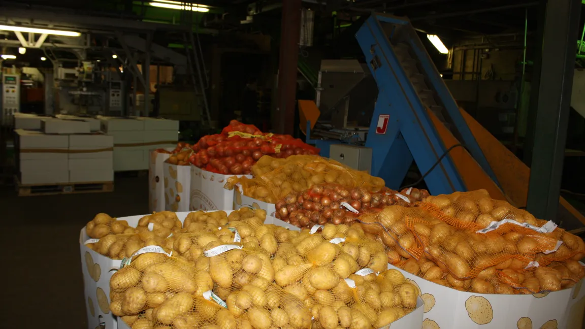 Temperierte Behandlung bis zum Supermarkt, nur so lässt sich die Qualität der Kartoffeln halten. Foto: Sontheimer