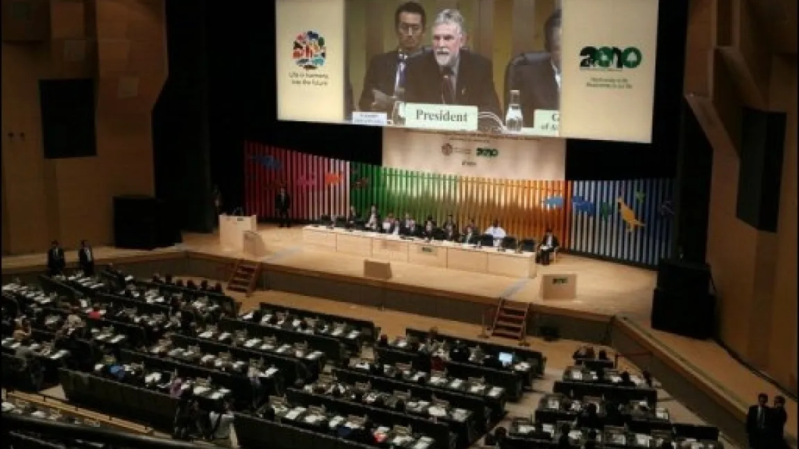 Die 193 Unterzeichnerstaaten der UN-Konferenz in Nagoya einigten sich auf ein 20-Punkte-Programm, um weltweit die Biodiversität zu erhalten. 
Foto: N24