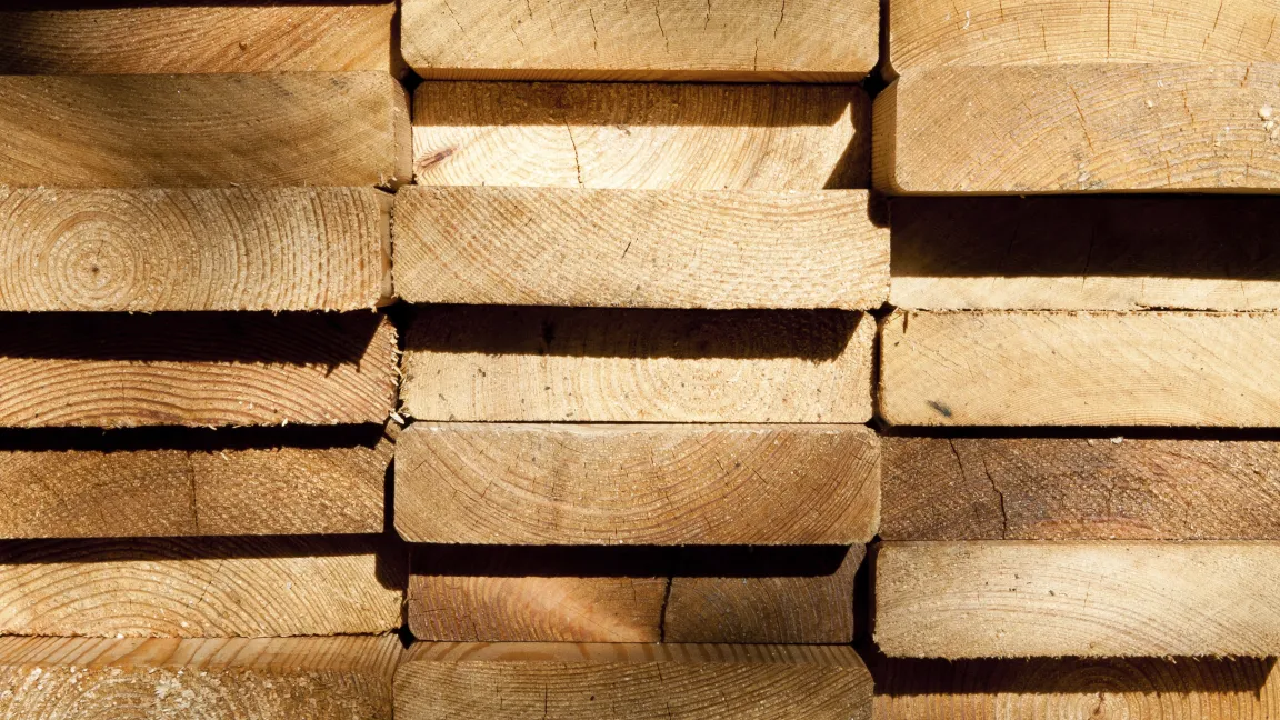 Lärchenholz ist überaus wetterfest und wir u.a. auch zum Bau von Booten verwendet. Foto: iStock