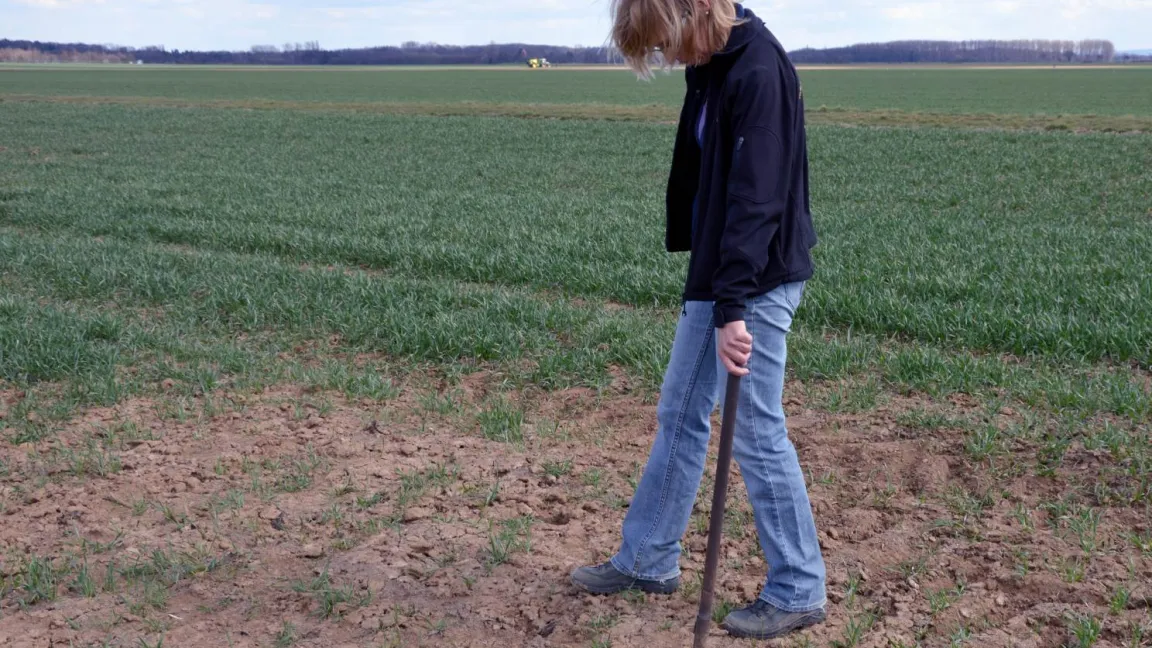 Mit Legeflinten werden Köder verdeckt in die Gänge gelegt. Foto: Matthias Wiedenau
