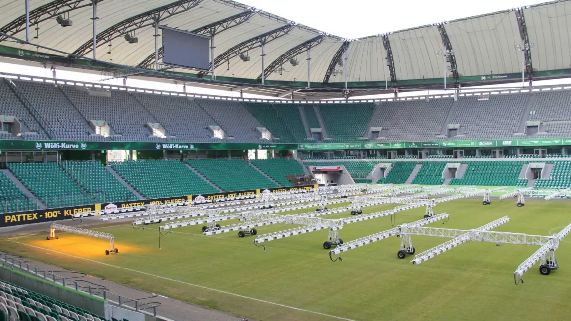 Mehrmals im Jahr vertikutieren ist sinnvoll, aber nur bis knapp über der Bodenoberfläche. Foto: VfL Wolfsburg