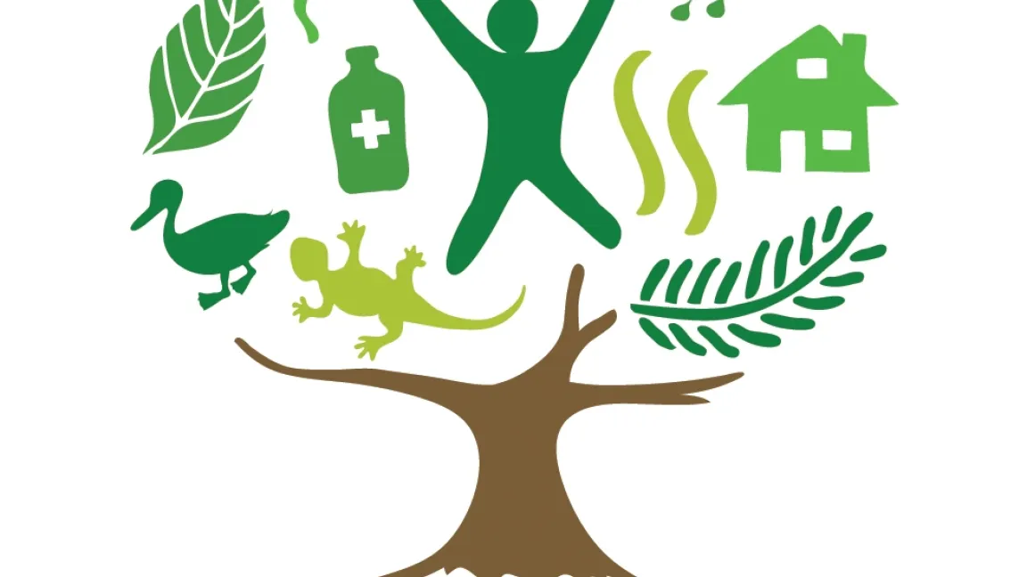 Das Logo des Internationalen Jahres der Wälder beschreibt die vielfältigen Funktionen. Foto: BMELV