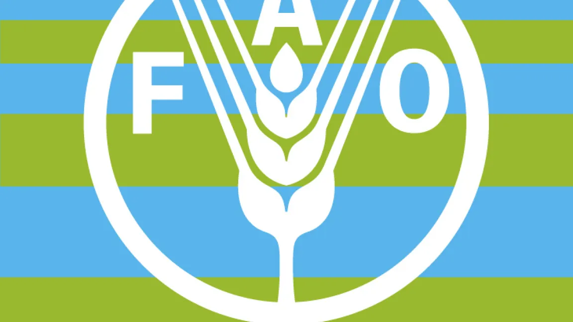 Die FAO will am 16. Oktober auf die Welternährungssituation hinweisen. Foto: FAO