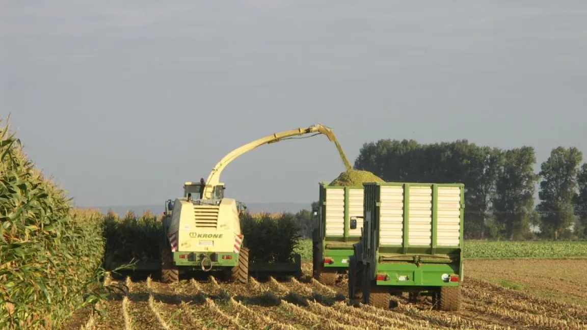 In Zukunft muss auf kleinerer Fläche mehr geernet werden. Foto: Matthias Wiedenau