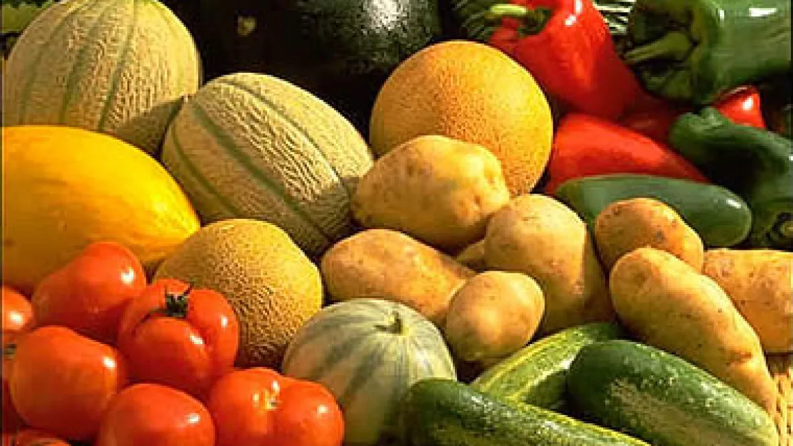 Marktstand.
	Quelle: BASF.