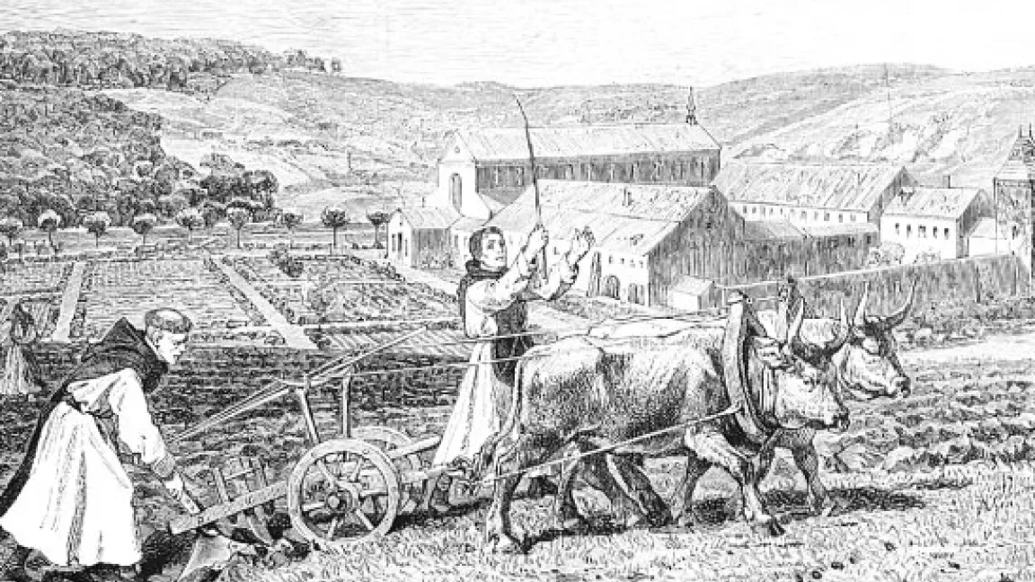 Der Räderpflug war ein wichtiger Fortschritt, viele Klöster betrieben eine vorbildliche Landwirtschaft.
Quelle: Deutschland im Mittelalter.de