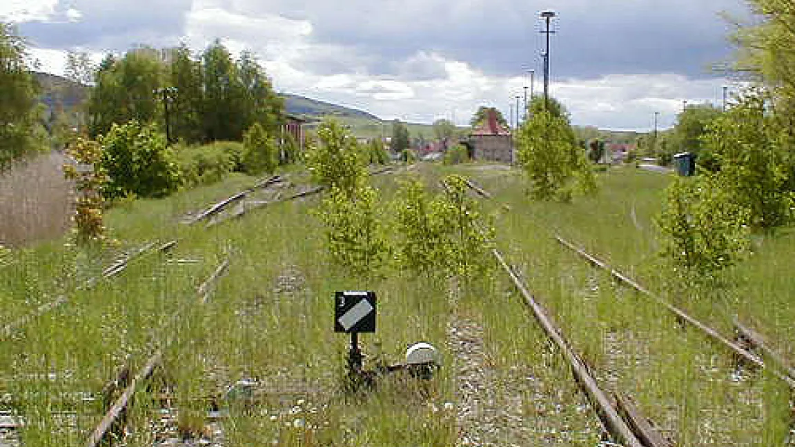 Nichtbenutzte und nichtbehandelte Gleise werden vom Unkraut überwuchert.
	Quelle: Dr.Reiner Schruft