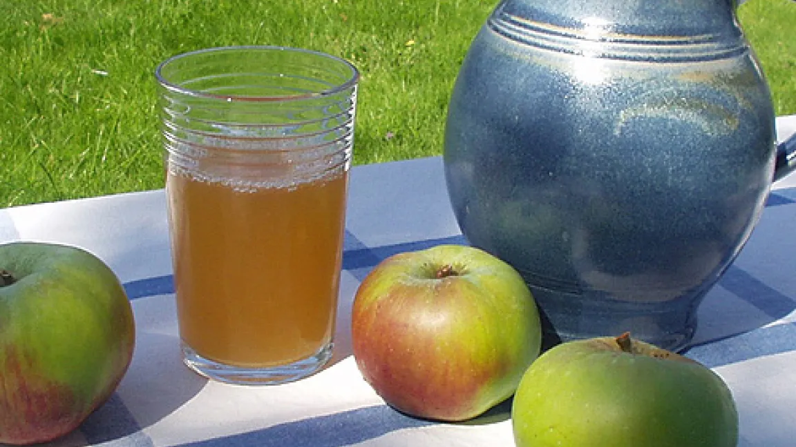 Ob frisch gepresst und naturtrüb oder klar: Apfelsaft ist immer ein gesunder Genuss.
	Quelle: Mosterei Seiz, Waldstetten