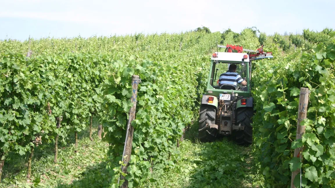 "Mehr ist nicht zu viel" meint Oskar Walg. Foto: Oskar Walg