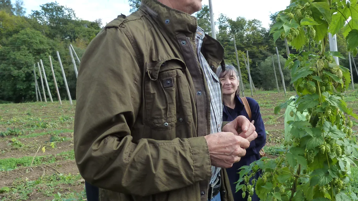 Herbert Dick: „Hopfen will seinen Herrn jeden Tag sehen.“ Besucher sind auch willkommen. Foto: IVA