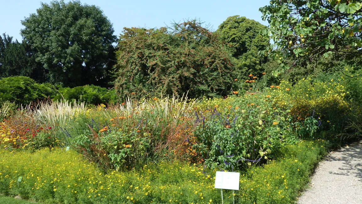 Es werden auch Pflanzungen getestet, die wenig Pflege bedürfen, aber trotzdem lange attraktiv bleiben. Foto: IVA
