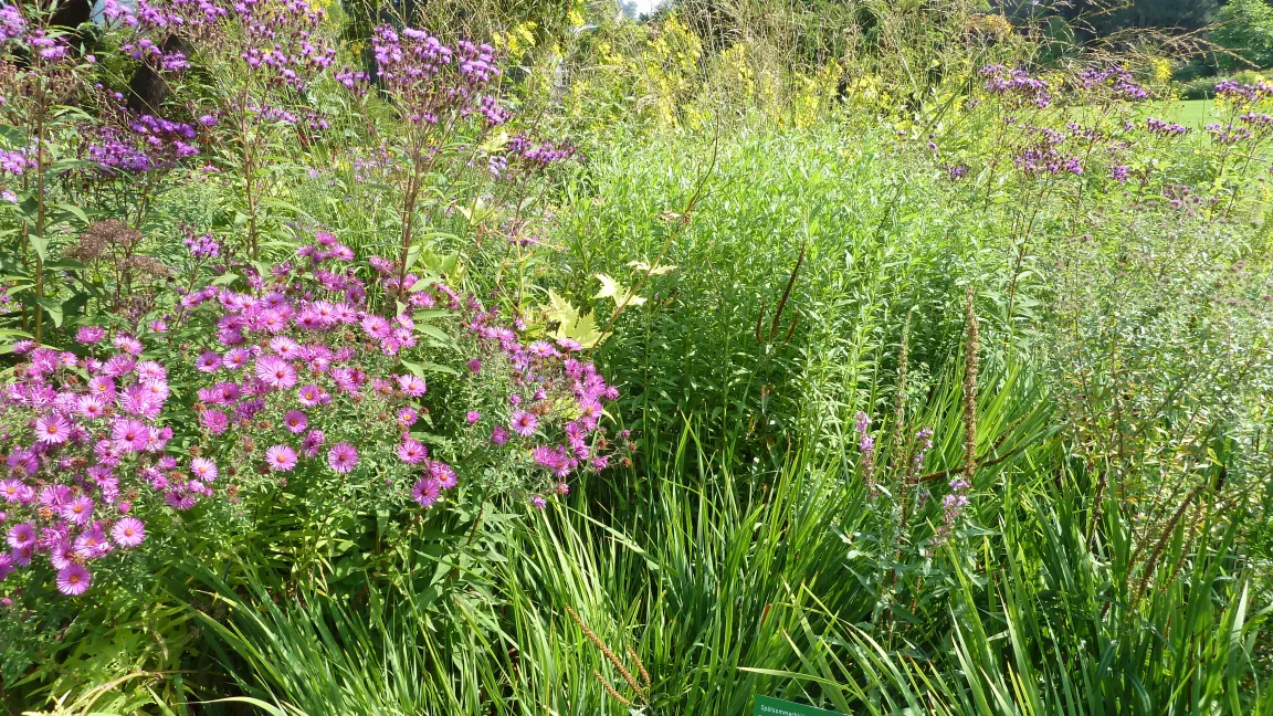 Ähnliche Pflanzungen lassen sich auch zuhause anlegen. Foto: IVA