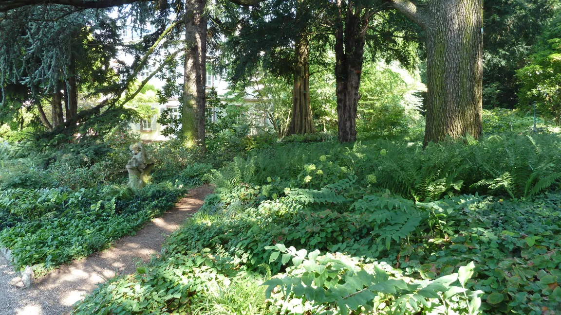 Auch verschiedene Baumarten gibt es im Hermannshof zu bestaunen. Foto: IVA