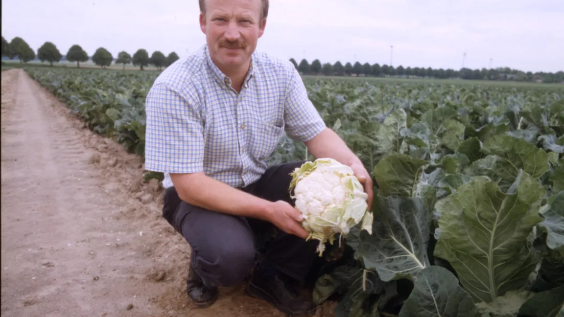 Gärtnermeister Achim Petkens: "Qualität ist das A und O". Foto: FNL