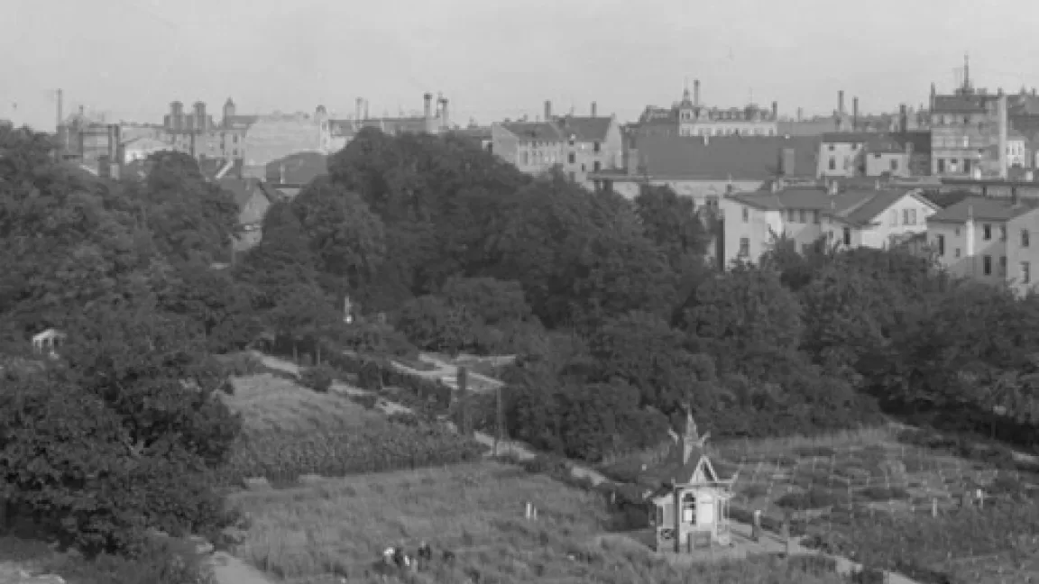 Der Der Systematische Pflanzengarten des Landwirtschaftlichen Institutes in Halle vor 1900.
Quelle: Museum für Haustierkunde „Julius Kühn“ der Martin-Luther Universität Halle-Wittenberg