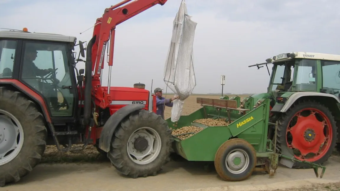 Bei der Kartoffelpflanzung sollte nur zertifiziertes Saatgut verwendet werden. Foto: Matthias Wiedenau