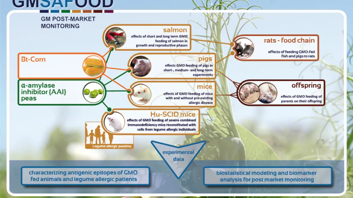 Aufbau der GMSAFOOD-Versuche. Foto: GMSAFOOD