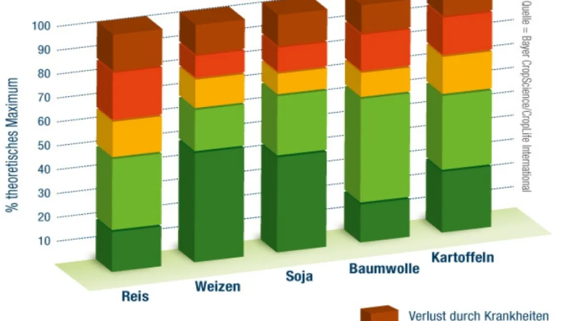 Pflanzenschutzmittel sichern einen hohen Anteil der Ernte ab. Foto: Bayer CropScience