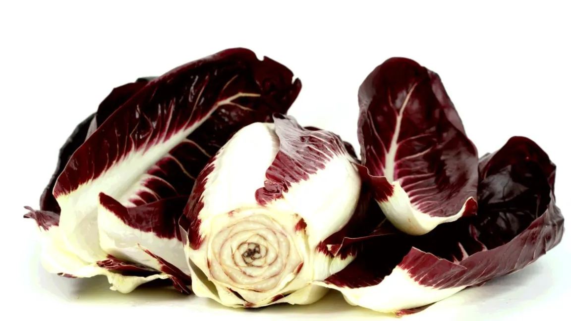 Falscher Mehltau (hier auf einem Weinblatt) befällt auch Radicchio. Foto: Volker Born