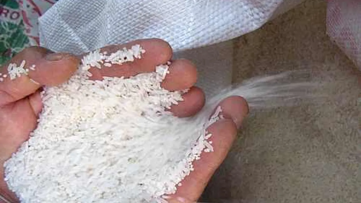 Reis - Grundnahrungsmittel für Milliarden von Menschen
Quelle: CropLife