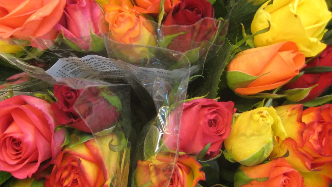 Rosen – die beliebtesten Schnittblumen in Deutschland. Foto: fotolia