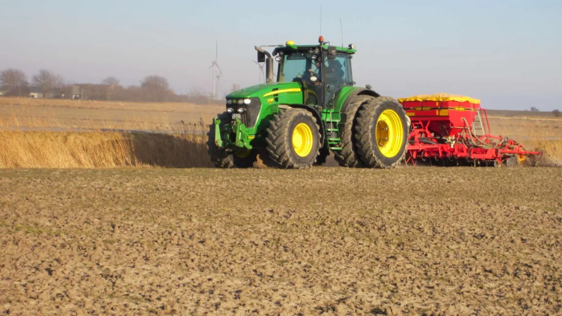 Bei einer späten Saat des Sommergetreides muss die Saatstärke erhöht werden. Foto: Matthias Wiedenau