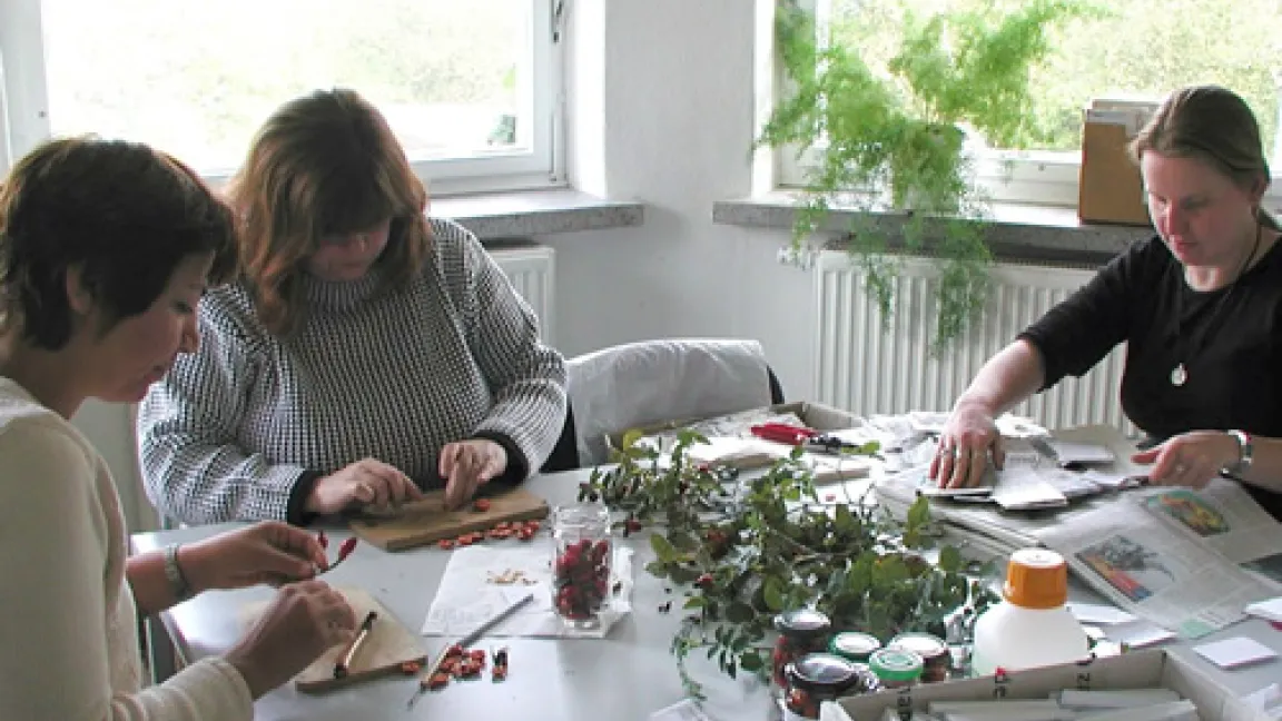 Auch Samen- und Früchte der Rosen werden gesammelt und dokumentiert
Quelle: Europa-Rosarium, Sangerhausen