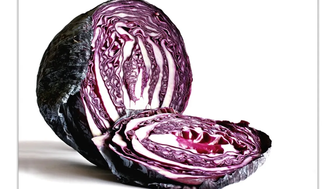 Der Kopf wird aus dem gestauchten Stängel sowie vergrößerten und spiralig angeordneten Blättern gebildet. Foto: Birgit H / Pixelio