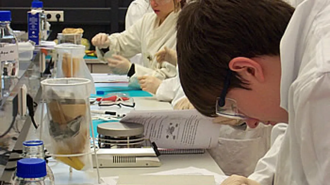 SchülerInnen im Schullabor
Quelle: St. Ursula-Schule Hannover