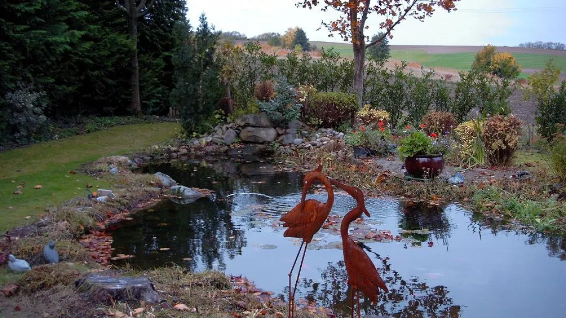 Alles abgeschnitten, fertig für den Winter. Foto: Boya Marshall